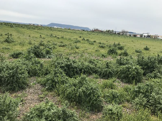 CAMINO DEL PORCILLO, Polígono 3 Parcela 28 11