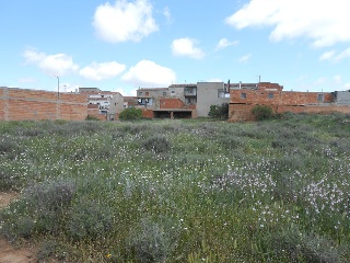 Suelo en Castelldans - Lleida - 7