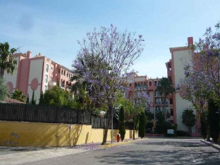 Bonalba 7