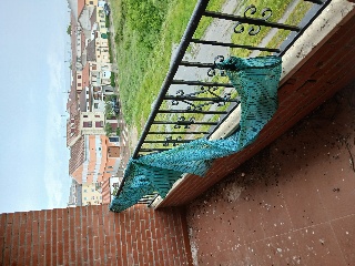 Inmueble situado en Ciudad Rodrigo 7