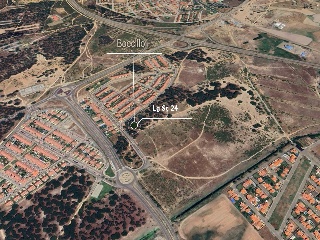 Revuelta 4