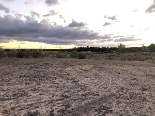 Revuelta 7