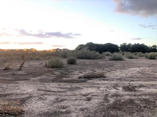 Revuelta 9
