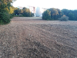 Santiago 3