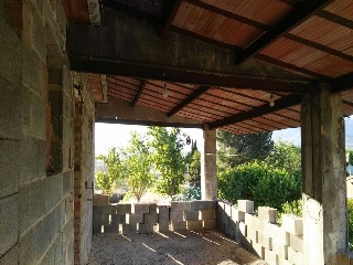 Cela De Nuñez 5