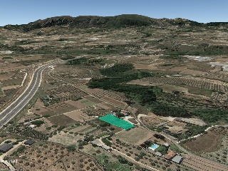 Cela De Nuñez 12