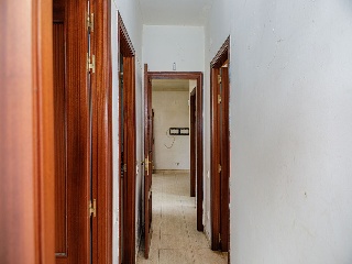 Garrofer 11
