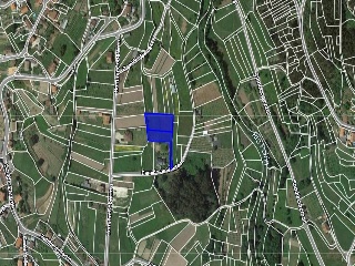 Pisos banco Rosal (O)
