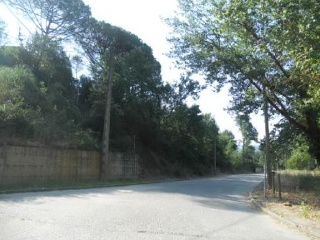 Junior Park 2