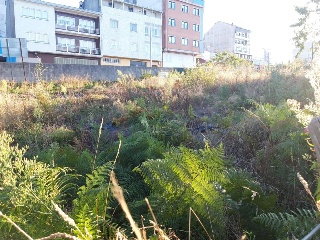 Muiño 5