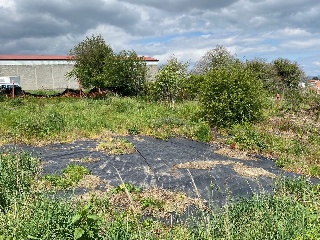 Muiño 6