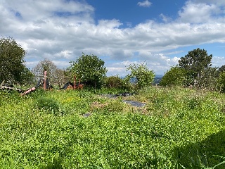 Muiño 9