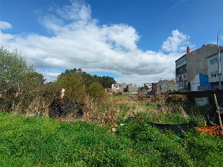 Muiño 13