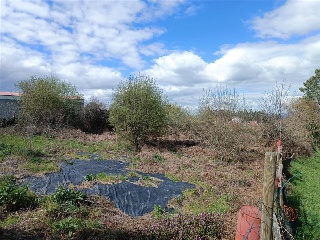 Muiño 15