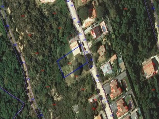 Junior Park 2