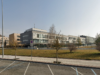 Ibia 2