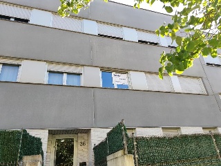 Ibia 3