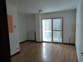 Ibia 4