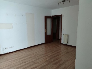 Ibia 5