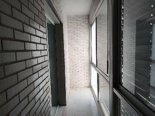 Ibia 9