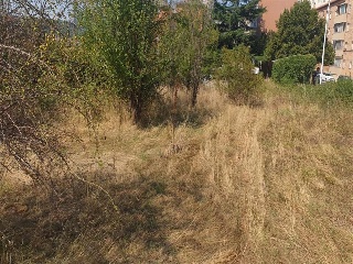 Sud3Canal Industrial 12