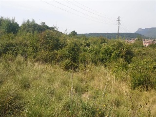 Sud3Canal Industrial 22