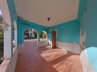 Del Pou Merli 24