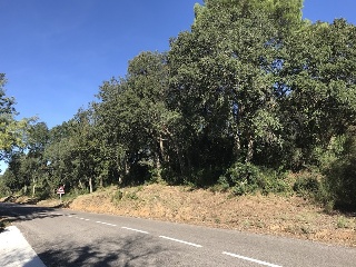 Otros en venta en Calonge