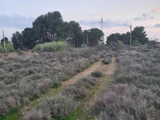 Otros en venta en Lleida