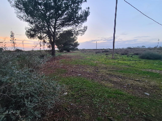 B Cerdera Alta 2