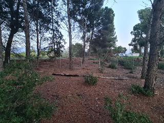B Cerdera Alta 7