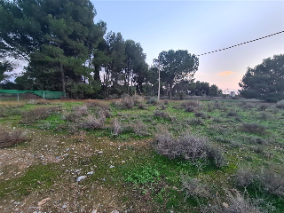 B Cerdera Alta 8