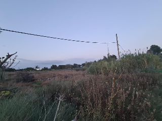 B Cerdera Alta 9
