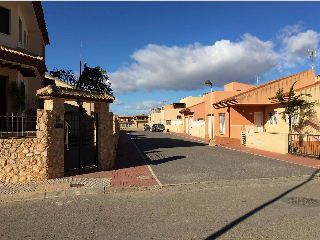 Anacardo - La Palma 2