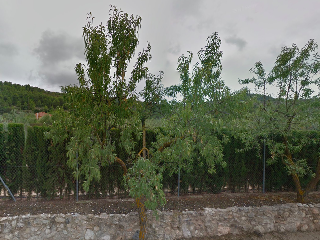 Otros en venta en Biar de 168  m²
