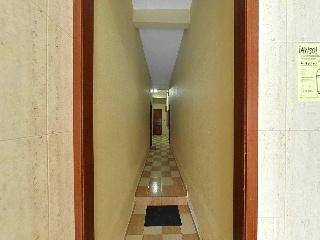  26