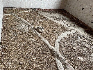 PILON VIEJO 9
