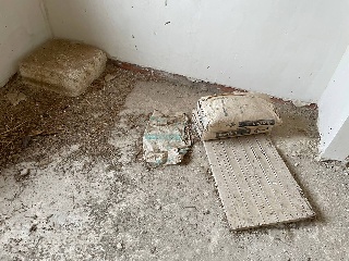 PILON VIEJO 18