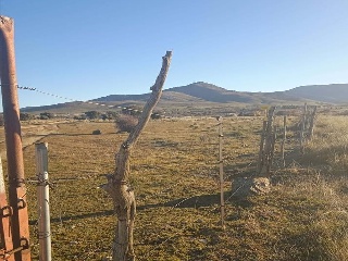 PARAJE CRUZ DEL CERRO 2