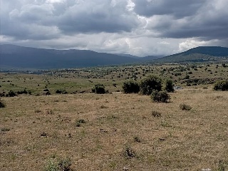 PARAJE CRUZ DEL CERRO 3