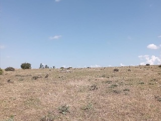 PARAJE CRUZ DEL CERRO 9