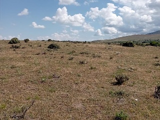 PARAJE CRUZ DEL CERRO 11