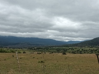 PARAJE CRUZ DEL CERRO 17
