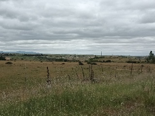 PARAJE CRUZ DEL CERRO 19