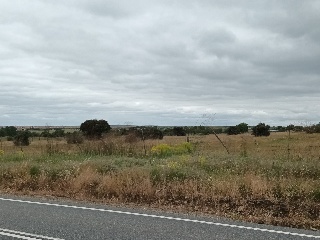 PARAJE CRUZ DEL CERRO 22