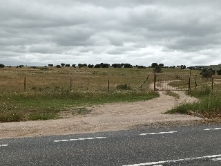 PARAJE CRUZ DEL CERRO 23