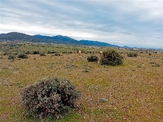 Otros en venta en Palazuelos De Eresma