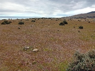 PARAJE CRUZ DEL CERRO 2