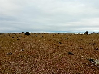 PARAJE CRUZ DEL CERRO 3