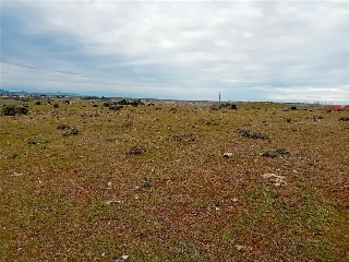 PARAJE CRUZ DEL CERRO 4